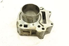 CAN-AM RALLY 175 05 ENGINE CYLINDER 420613346 44807