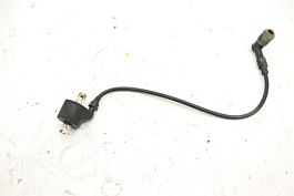 POLARIS OUTLAW 525S 08 IGNITION COIL 4011669 47405