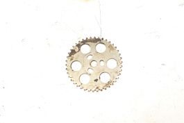 CAN-AM TIMING GEAR 42T 420254438